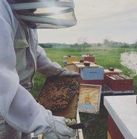 Complimentary Flavored Honey