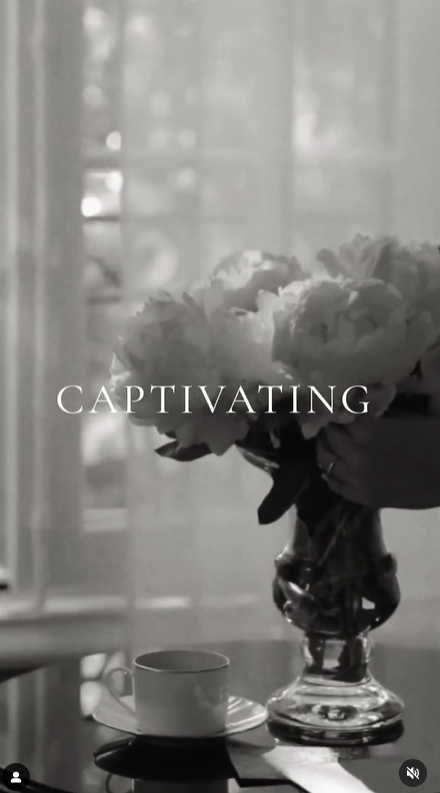 White Tea Blends - The Morning Harvests