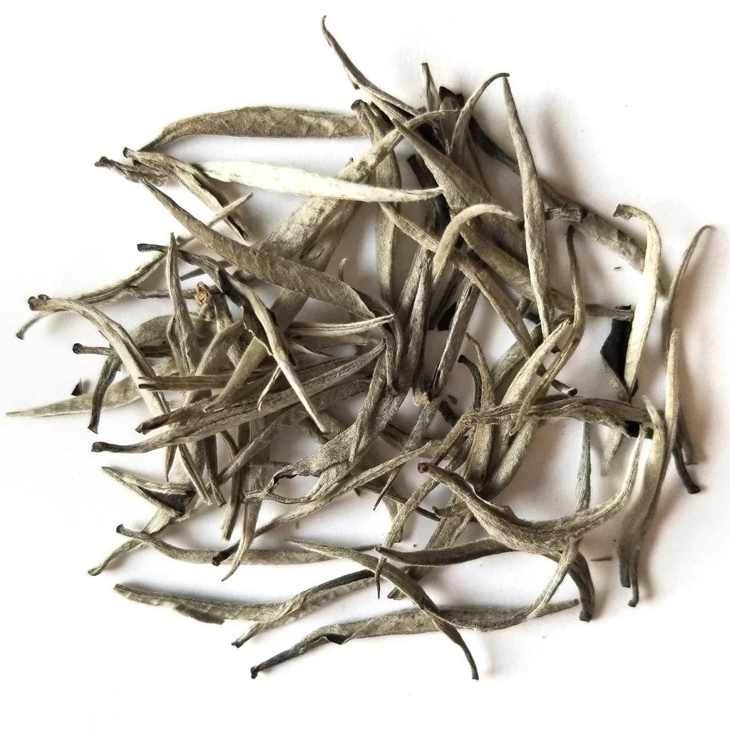 Dried silver needle white tea leaves isolated